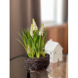 Букет Мускари иск. в гнезде белые 27*12*12 см 