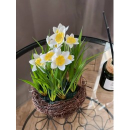 Букет Нарцисс иск. в гнезде белые 27*12*12 см 