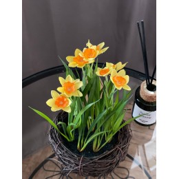Букет Нарцисс иск. в гнезде желтые 27*12*12 см 