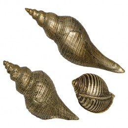 Набор из 3 ракушек gold shell