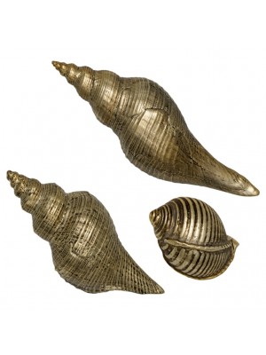 Набор из 3 ракушек gold shell